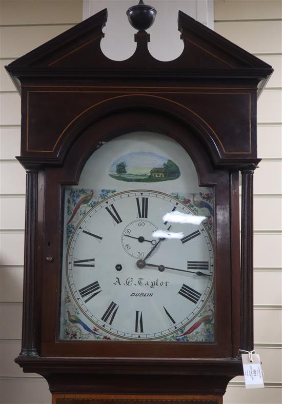 A mid-19th century mahogany longcase clock, A E Taylor, Dublin H.236cm